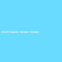 Intelligente Marmor-Schuhe