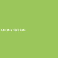 Adrettes Samt-Auto