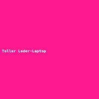 Toller Leder-Laptop