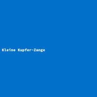 Kleine Kupfer-Zange